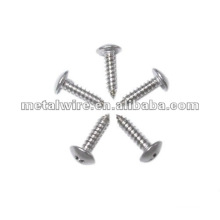 Best Quality Self Tapping Screw